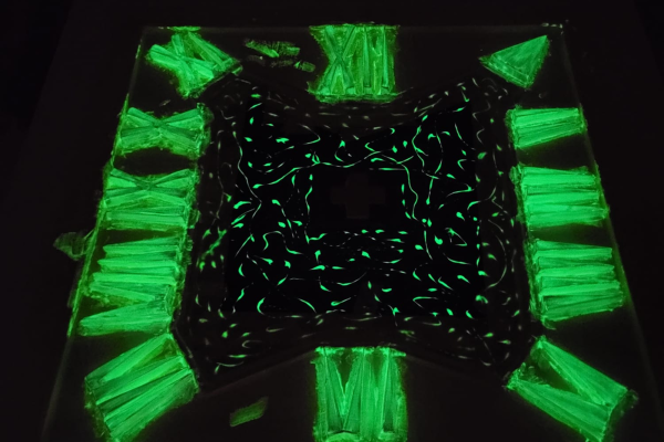 WhatsApp Image 2026-03-06 at 1.43.43 AM (1) 1